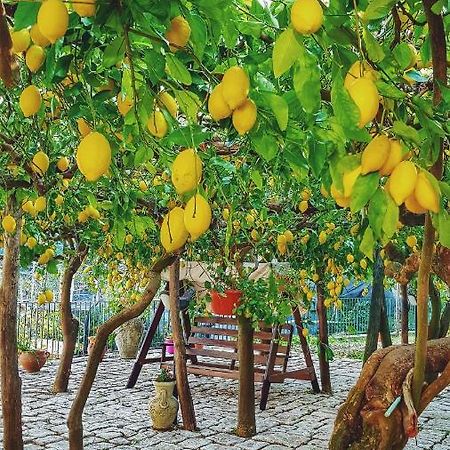 Il Limoneto Degli Angeli Villa Minori Eksteriør bilde