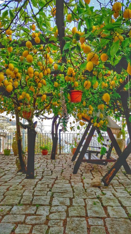 Il Limoneto Degli Angeli Villa Minori Eksteriør bilde