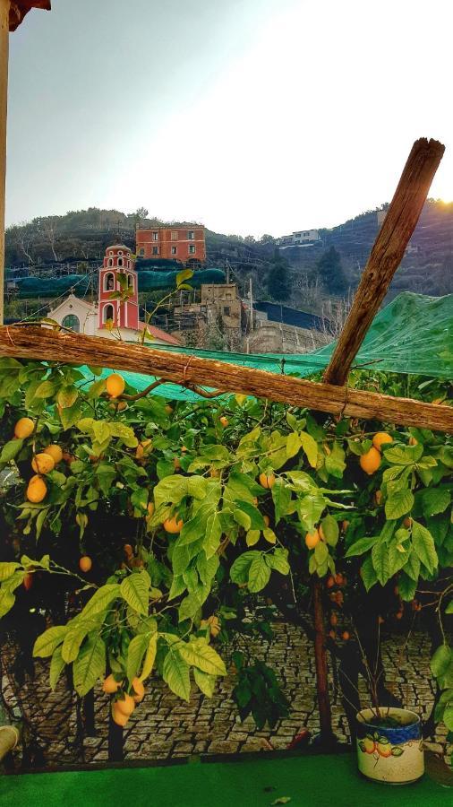 Il Limoneto Degli Angeli Villa Minori Eksteriør bilde