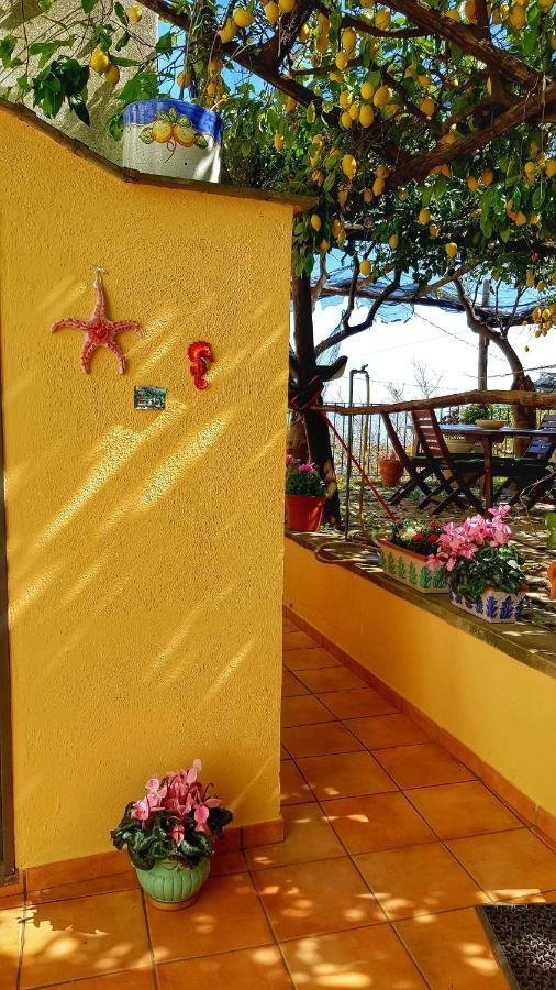 Il Limoneto Degli Angeli Villa Minori Eksteriør bilde