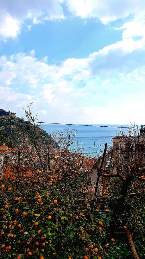 Il Limoneto Degli Angeli Villa Minori Eksteriør bilde