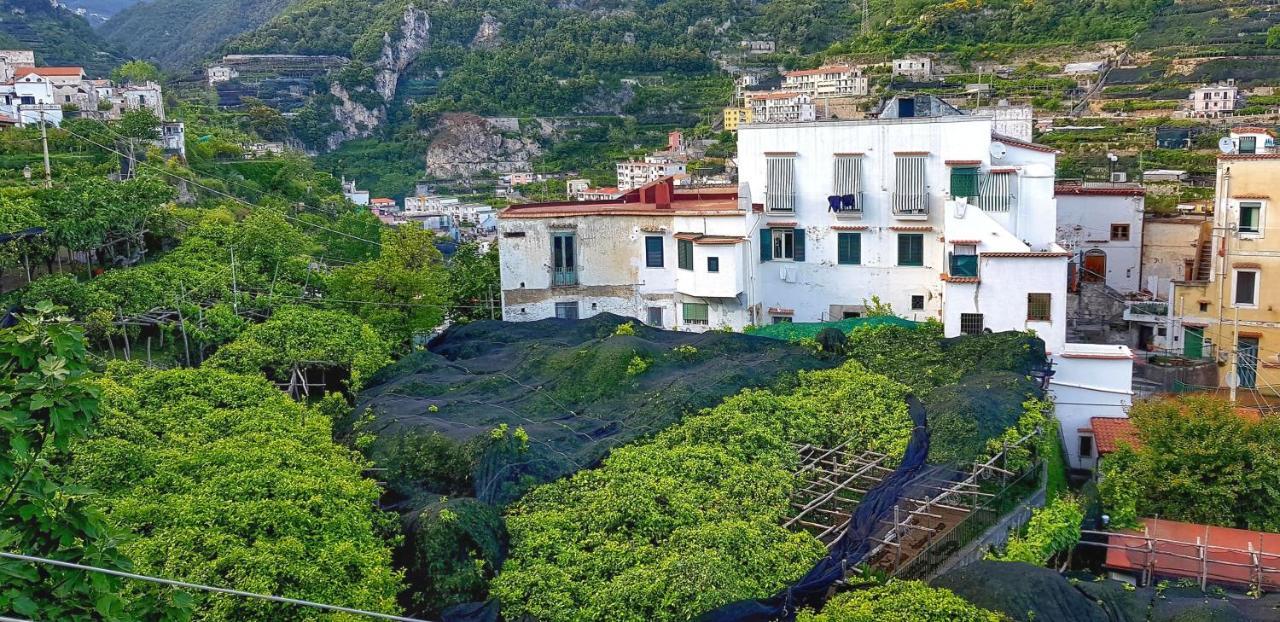 Il Limoneto Degli Angeli Villa Minori Eksteriør bilde