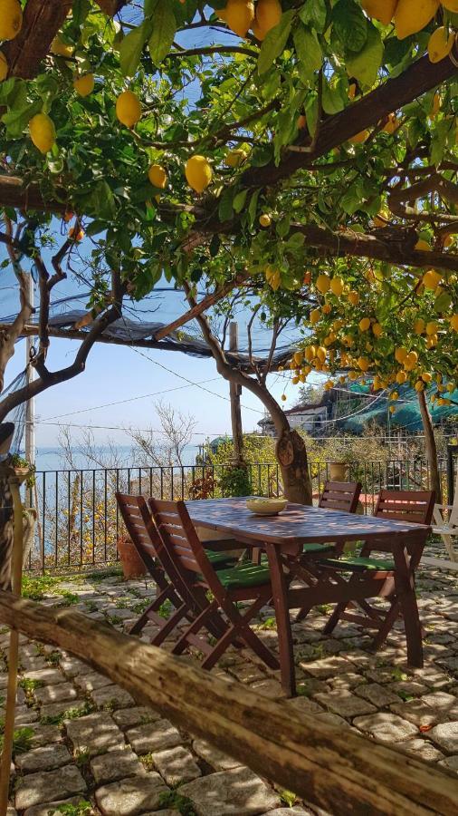 Il Limoneto Degli Angeli Villa Minori Eksteriør bilde