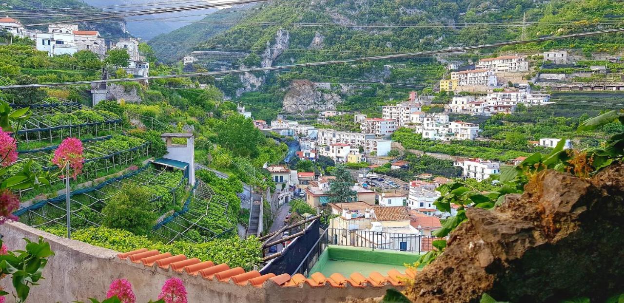 Il Limoneto Degli Angeli Villa Minori Eksteriør bilde