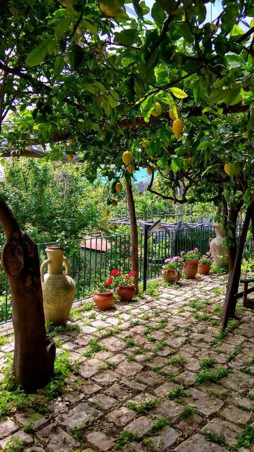 Il Limoneto Degli Angeli Villa Minori Eksteriør bilde